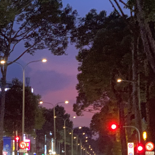 Tự sự - An Vũ short cover