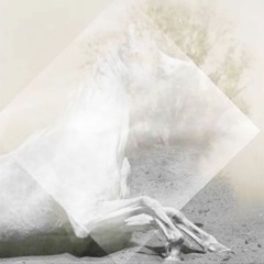 QUE VOY A HACER SI NO AMO MI SER ?