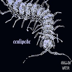 centipede [ft. ☆ scorpio shawty ☆]