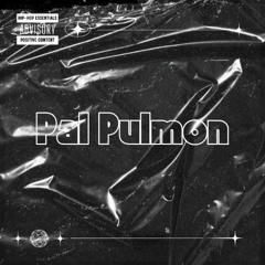 Pal Pulmon - ZzZ Remix