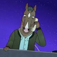 "its too late whats done is done" bojack horseman