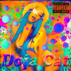 Doja Cat - Paint The Town Red (Willy Denzey - Le Mur Du Son)