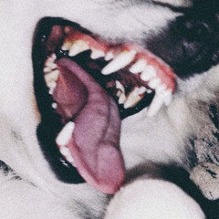 Nicole Dollanganger - Dog teeth (rough mix)