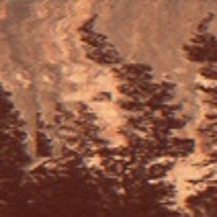 Never Lose Me Freestyle