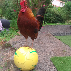 progression arythmique