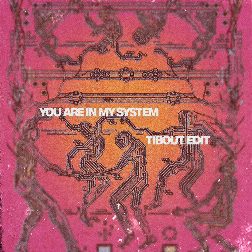 You Are In My System - TIBOUT edit