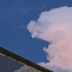 sa3