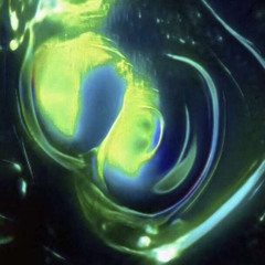 FXNSI & 444BRXY - Bang! (prod. 4USTIN)