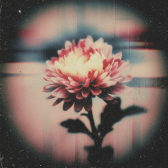 What am I to a knife? (2byt)