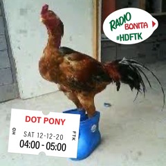 Dot Pony ~ Radio Bonita ~ 12-12-20