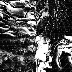 LDS - Synchilla Mix [SEELEN010 | Premiere]