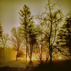 The 2149 Cowboy Apocalypse of Sector Yuma