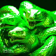 PLATINUM FUNK TRIBU  X VENUM L-BT [INDUSTRIAL MASHUP] HAKAI