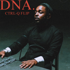 Kendrick Lamar - DNA (CTRL-Q FLIP)