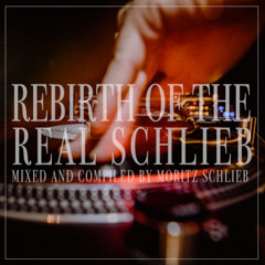 Rebirth Of The Real Schlieb