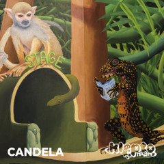 Candela
