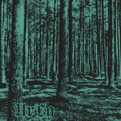 Grave In The Misty Forest