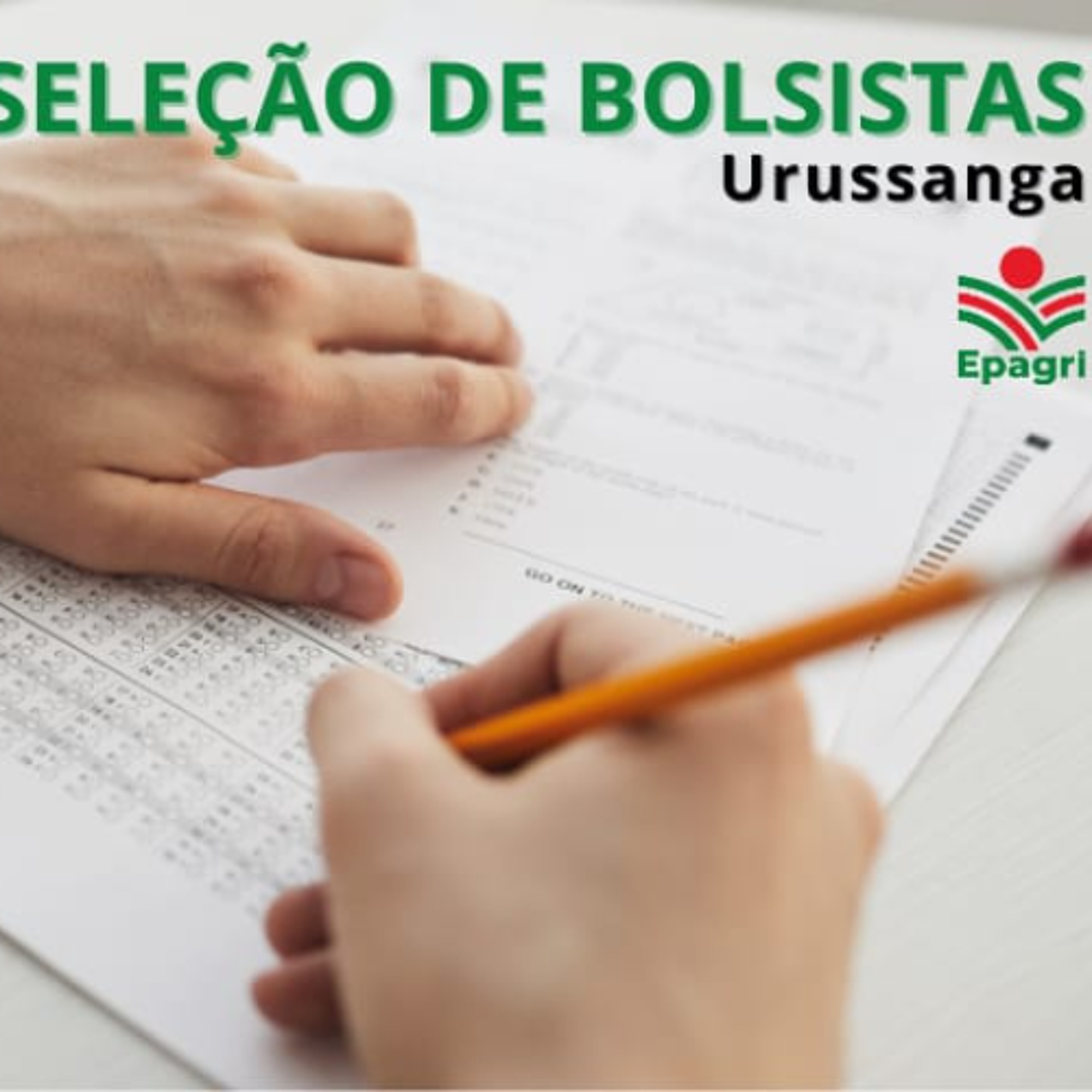 Epagri abre inscrições para seleção de bolsistas em projeto de sustentabilidade agrícola episode artwork