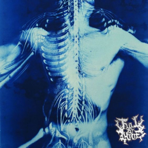 fractured (anticon)