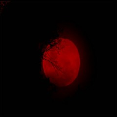 JPGotzBeatz  - JP Beat 762