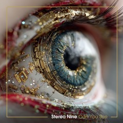 Stereo Nine - Can You See
