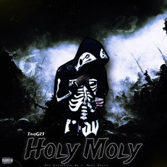 G23 - Holy Moly