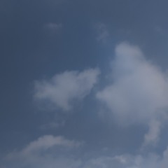 2025 - 03 - 26 trưa 2