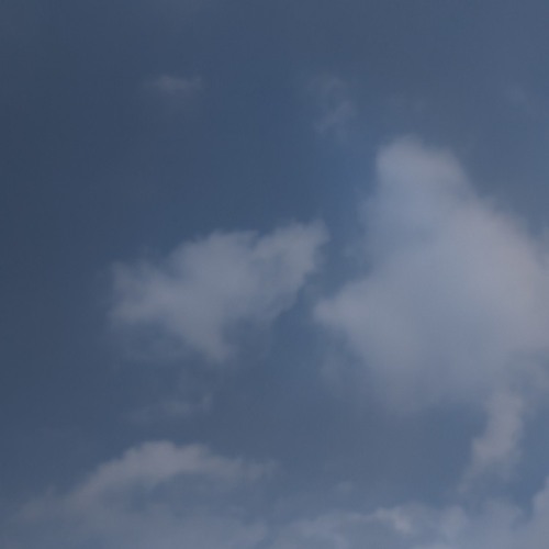 2025 - 03 - 26 trưa 2