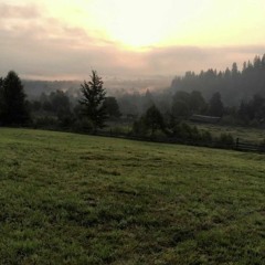 coming back to heaven