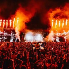 Feel the celebration