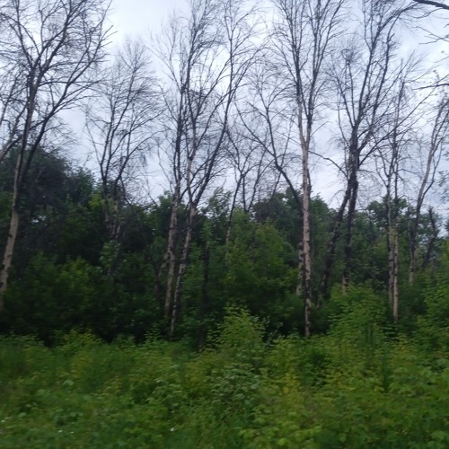 FORTUNA 812 — #stonesheareverything (www.lightaudio.ru)