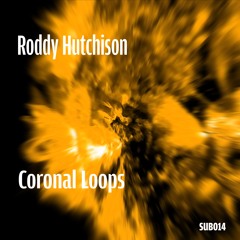 282# PREMIERE: Roddy Hutchison - C Loops - Dust Rework [Subplant Records]