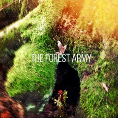 The Hidden People of the Forest (Mix 2025) & Video Link