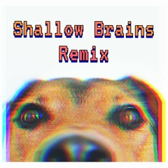 Shallow Brains - LINJA Remix