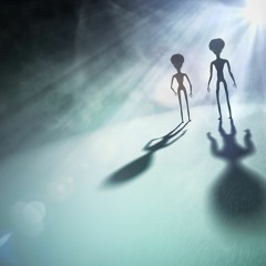 The Tomorrow Project - The Zoo Hypothesis