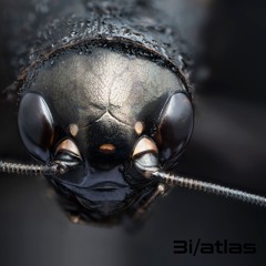 3i/atlas 2 (electronic music for battling insects)
