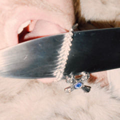 Blades