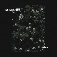 STREET SMART MIX 001 erica