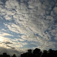 Misread(Fazerdaze Cover)