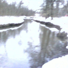 ｐｒｙａｃｈｕ ｂｒｏｎｈｉ ｖ ｄｉｐｌｏｍａｔ ｃｏｖｅｒ ˚₊‧꒰ა 𓂋 ໒꒱ ‧₊˚