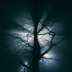 Emotional Ambient Piano Additional Version