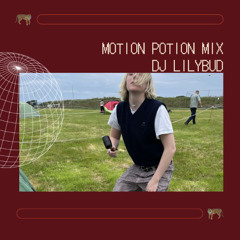 Motion Potion Mix - Vol.2