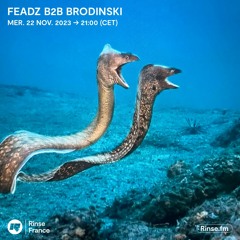 FEADZ B2B BRODINSKI - 22 Novembre 2023