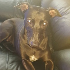 Robin S - Show Me Love (Bass King Bootleg)