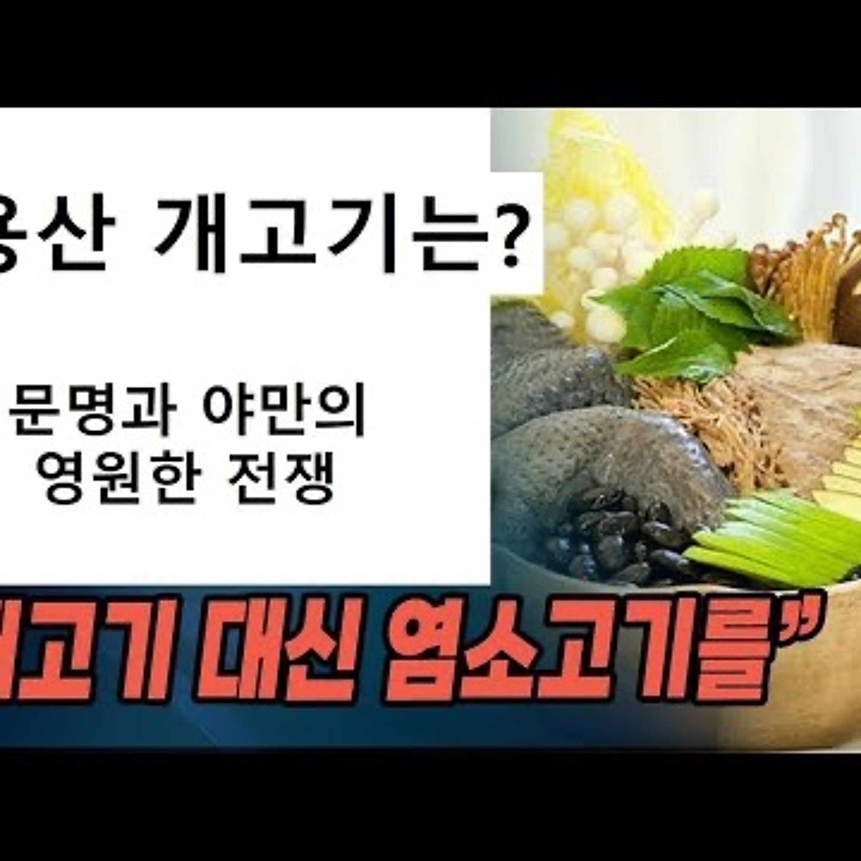 2023-02-05 용산 개고기는 어쩌고 episode artwork