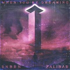 SNBRN & Zalibar - When You’re Dreaming