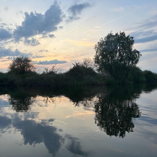 Dawn Chorus (part 2)