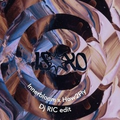Innerbloom x How2Fly (DJ RIC Edit)