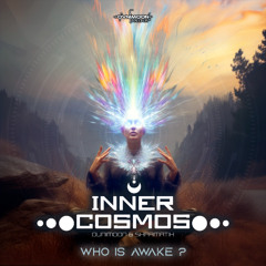 Inner cosmos - Who is awake