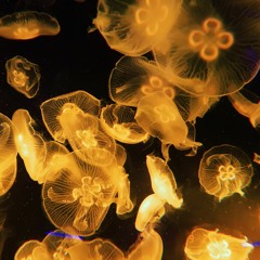 Lost With You (Patrick Watson Cover) // sat on the porch in the rain